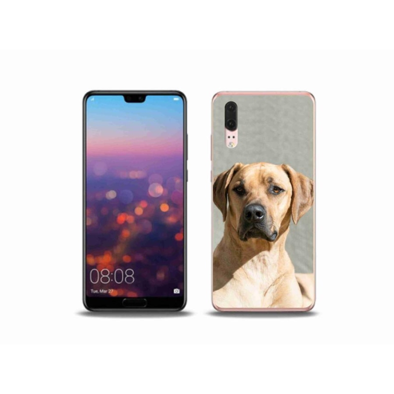 Gélový kryt mmCase na mobil Huawei P20 - ridgeback