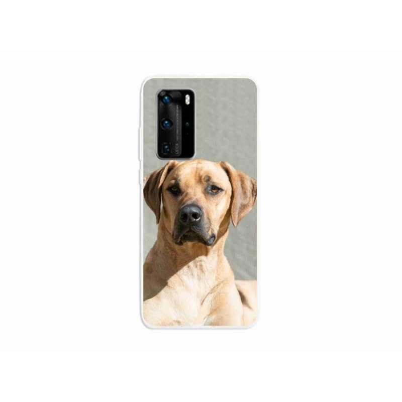 Gélový kryt mmCase na mobil Huawei P40 Pro - ridgeback