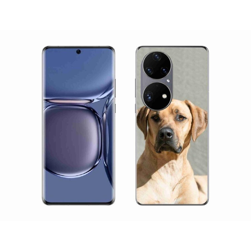 Gélový kryt mmCase na mobil Huawei P50 Pro - ridgeback