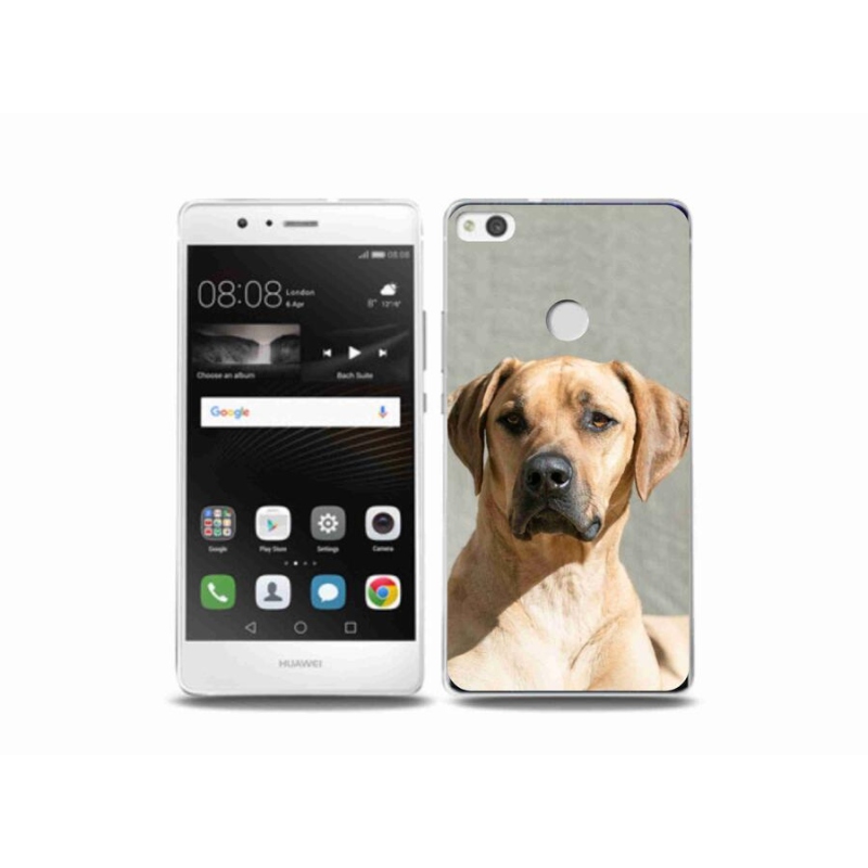 Gélový kryt mmCase na mobil Huawei P9 Lite (2017) - ridgeback