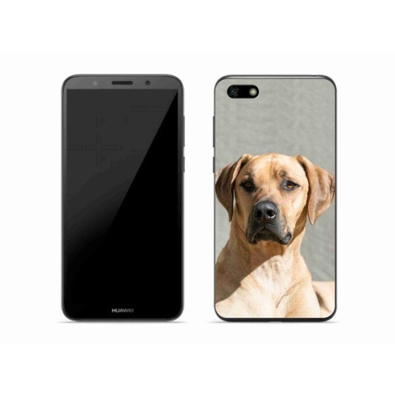 Gélový kryt mmCase na mobil Huawei Y5 (2018) - ridgeback