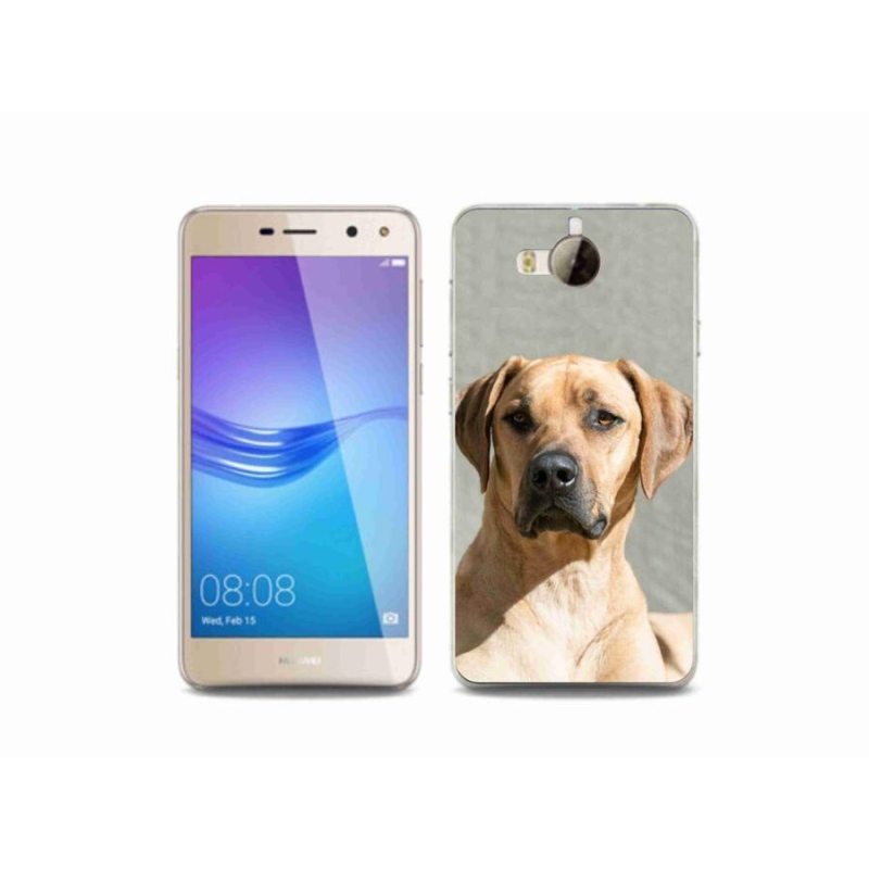 Gélový kryt mmCase na mobil Huawei Y6 (2017) - ridgeback