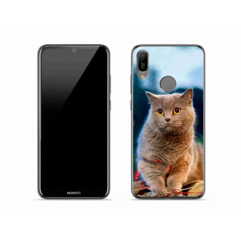 Gélový kryt mmCase na mobil Huawei Y6 (2019) - britská modrá 2