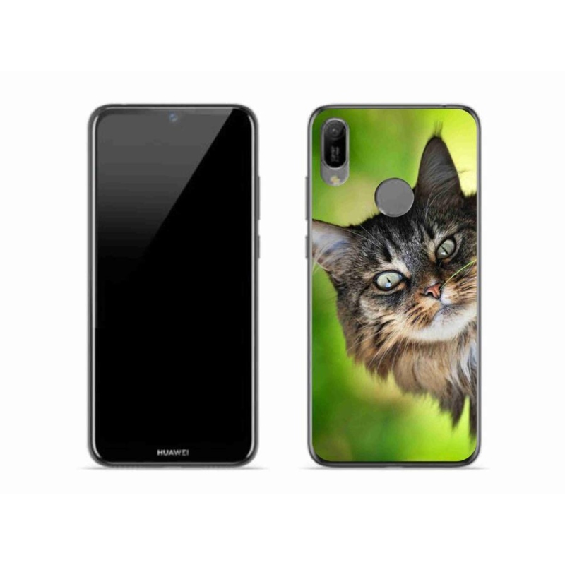 Gélový kryt mmCase na mobil Huawei Y6 (2019) - mačka 3