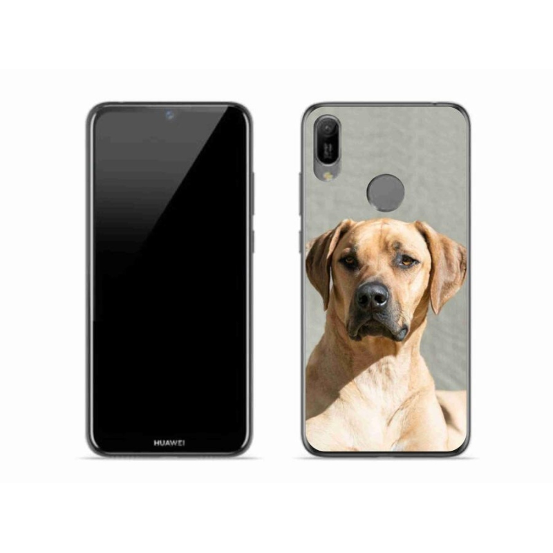 Gélový kryt mmCase na mobil Huawei Y6 (2019) - ridgeback