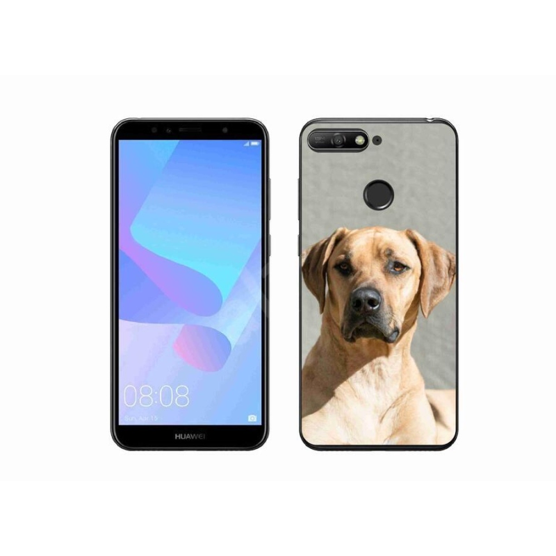 Gélový kryt mmCase na mobil Huawei Y6 Prime (2018) - ridgeback