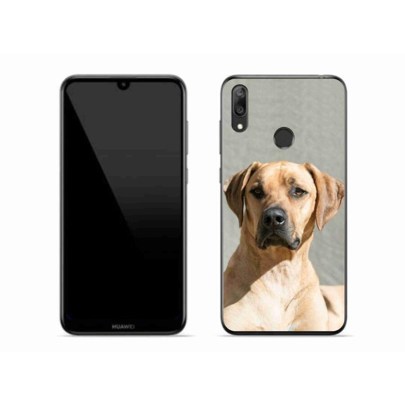 Gélový kryt mmCase na mobil Huawei Y7 (2019) - ridgeback