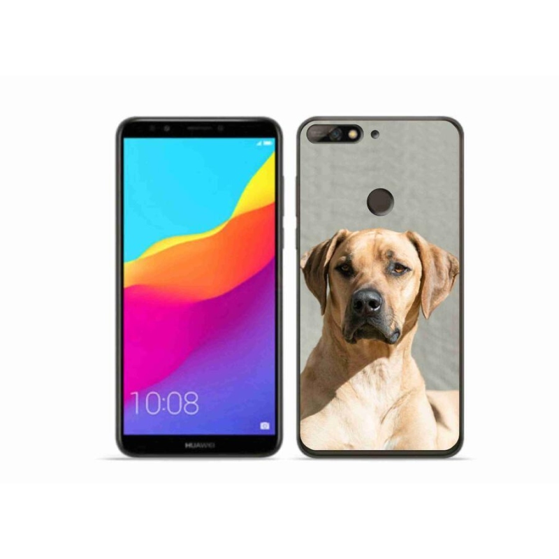 Gélový kryt mmCase na mobil Huawei Y7 Prime (2018) - ridgeback