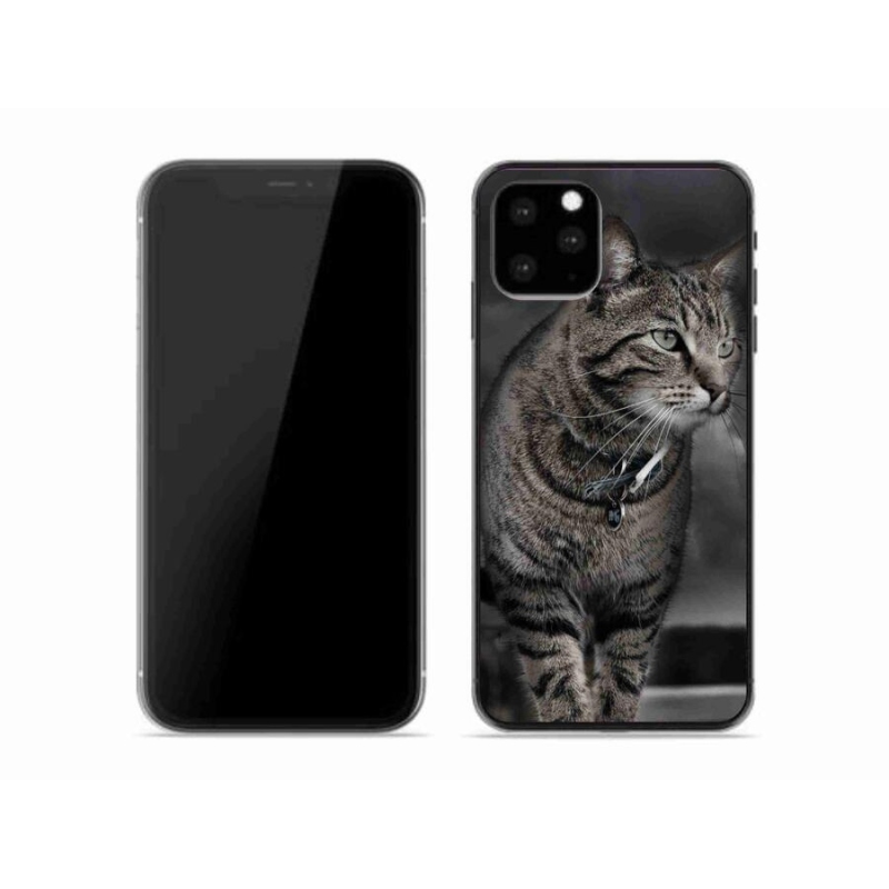 Gélový kryt mmCase na mobil iPhone 11 Pro - mačka