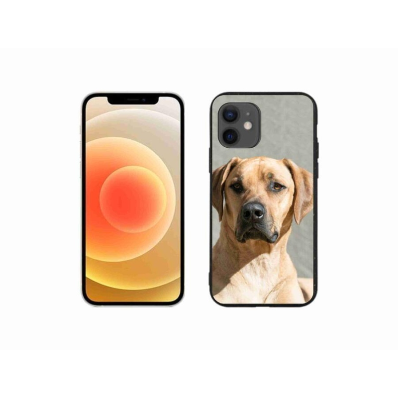 Gélový kryt mmCase na mobil iPhone 12 mini - ridgeback