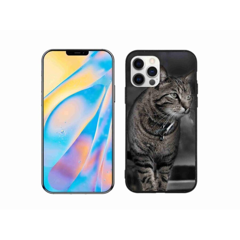 Gélový kryt mmCase na mobil iPhone 12 Pro - mačka