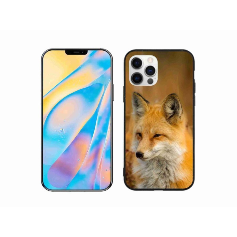 Gélový kryt mmCase na mobil iPhone 12 Pro - líška