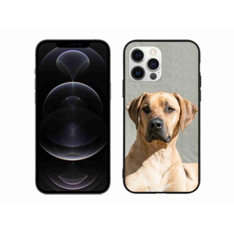 Gélový kryt mmCase na mobil iPhone 12 Pro Max - ridgeback