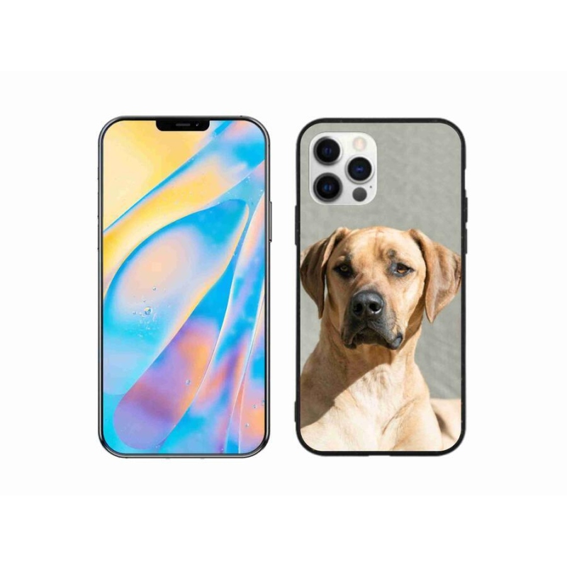 Gélový kryt mmCase na mobil iPhone 12 Pro - ridgeback