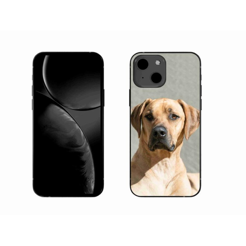 Gélový kryt mmCase na mobil iPhone 13 6.1 - ridgeback