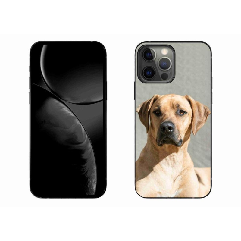 Gélový kryt mmCase na mobil iPhone 13 Pro Max 6.7 - ridgeback