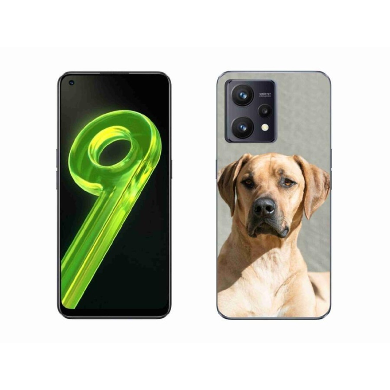 Gélový kryt mmCase na mobil Realme 9 4G - ridgeback