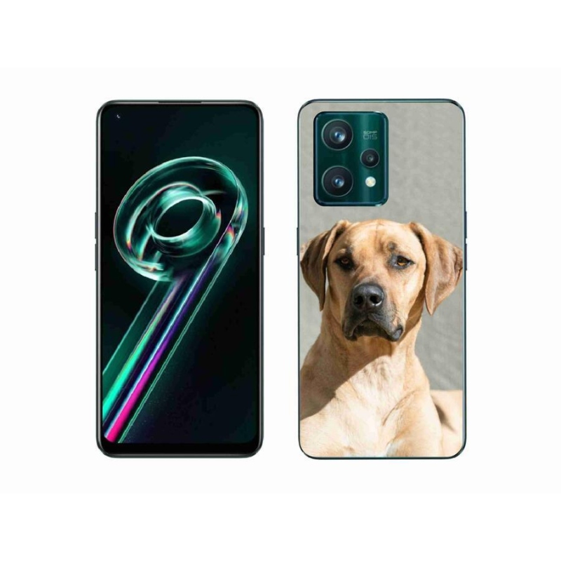 Gélový kryt mmCase na mobil Realme 9 Pro+ 5G - ridgeback