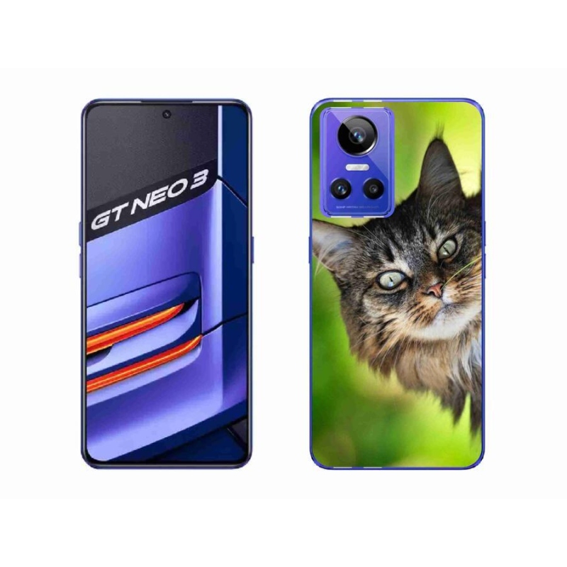 Gélový kryt mmCase na mobil Realme GT Neo 3 - mačka 3