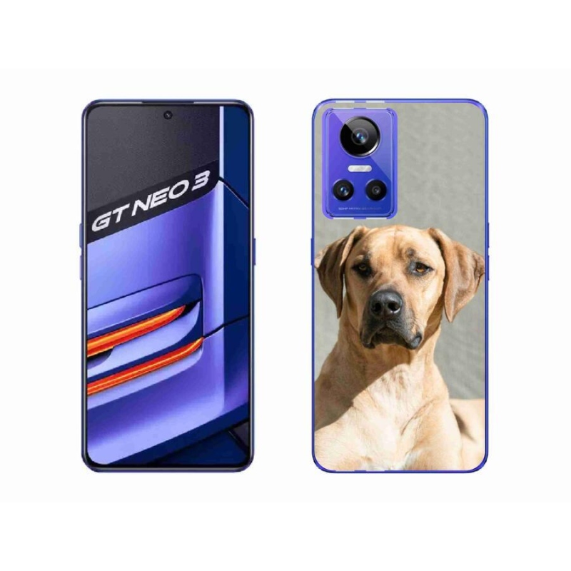 Gélový kryt mmCase na mobil Realme GT Neo 3 - ridgeback