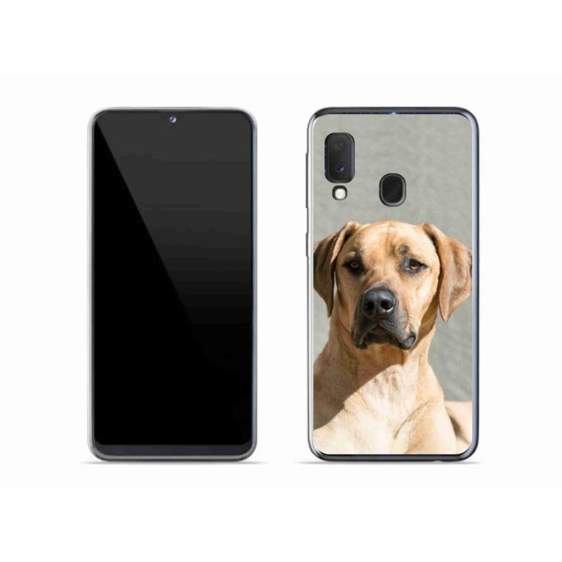 Gélový kryt mmCase na mobil Samsung Galaxy A20e - ridgeback