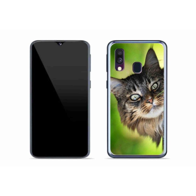 Gélový kryt mmCase na mobil Samsung Galaxy A40 - mačka 3