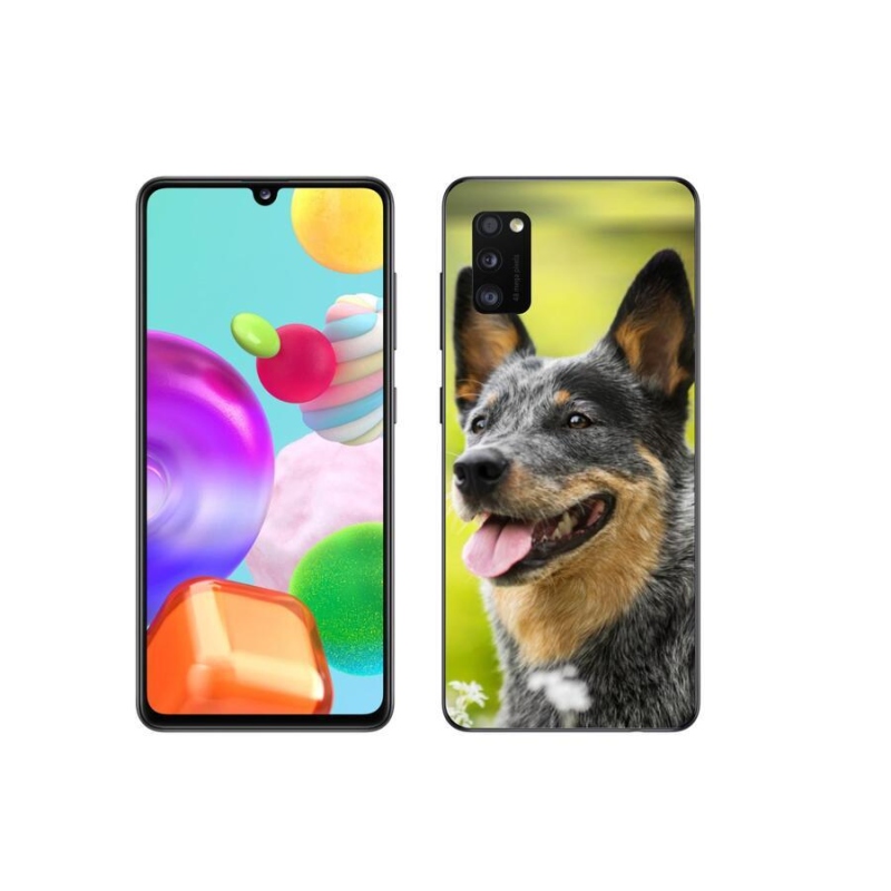 Gélový kryt mmCase na mobil Samsung Galaxy A41 - austrálsky dobytkársky pes