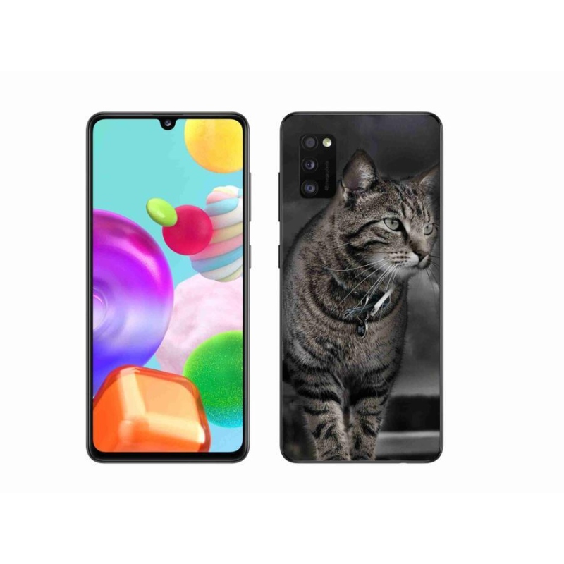 Gélový kryt mmCase na mobil Samsung Galaxy A41 - mačka