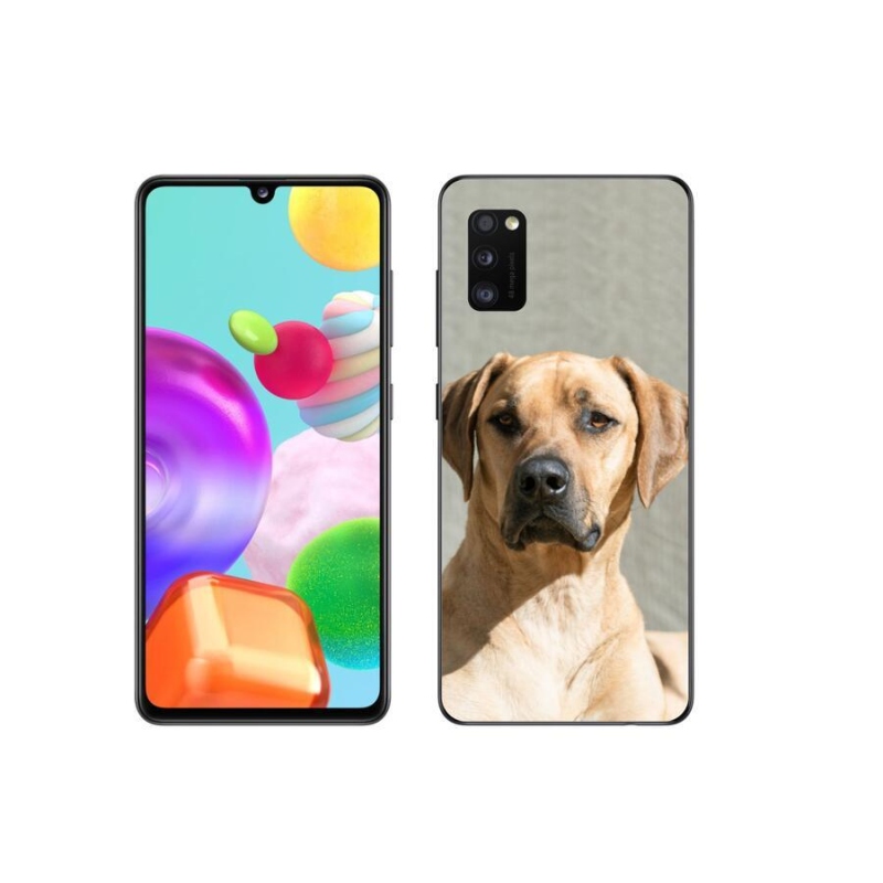 Gélový kryt mmCase na mobil Samsung Galaxy A41 - ridgeback