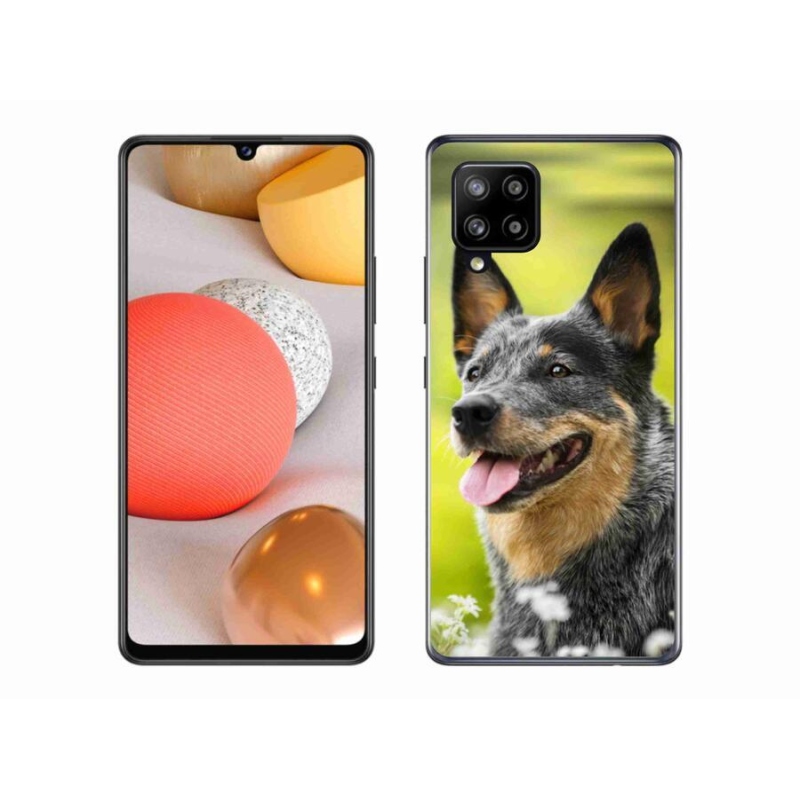 Gélový kryt mmCase na mobil Samsung Galaxy A42 5G - austrálsky dobytkársky pes