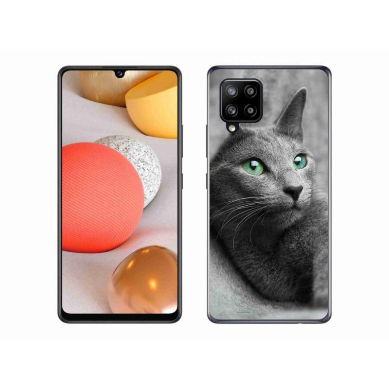 Gélový kryt mmCase na mobil Samsung Galaxy A42 5G - mačka 2