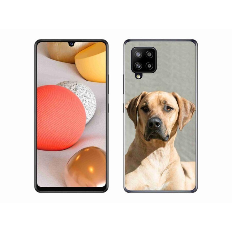 Gélový kryt mmCase na mobil Samsung Galaxy A42 5G - ridgeback