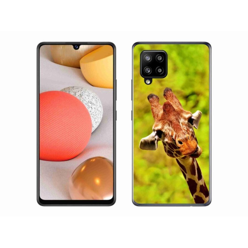 Gélový kryt mmCase na mobil Samsung Galaxy A42 5G - žirafa