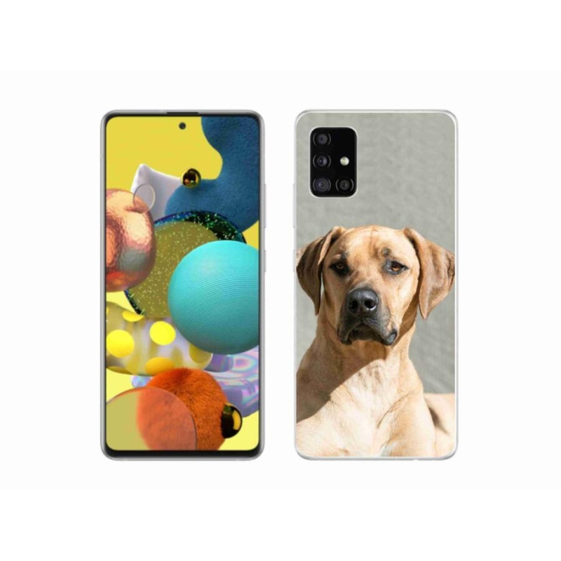 Gélový kryt mmCase na mobil Samsung Galaxy A51 5G - ridgeback