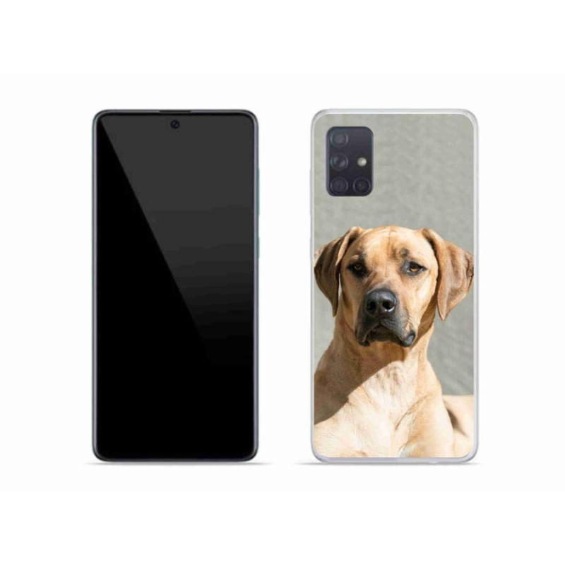 Gélový kryt mmCase na mobil Samsung Galaxy A51 - ridgeback