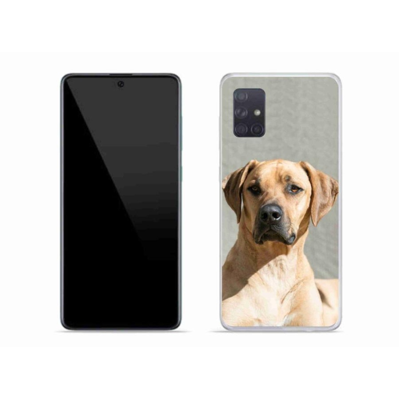 Gélový kryt mmCase na mobil Samsung Galaxy A71 - ridgeback