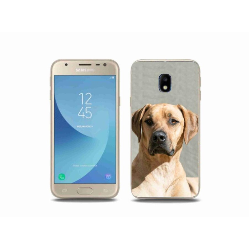 Gélový kryt mmCase na mobil Samsung Galaxy J3 (2017) - ridgeback