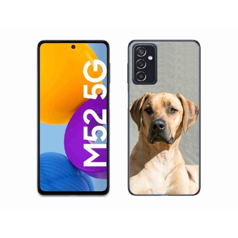 Gélový kryt mmCase na mobil Samsung Galaxy M52 5G - ridgeback