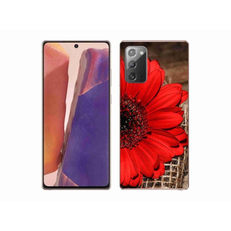 Gélový kryt mmCase na mobil Samsung Galaxy Note 20/Note 20 5G - gerbera