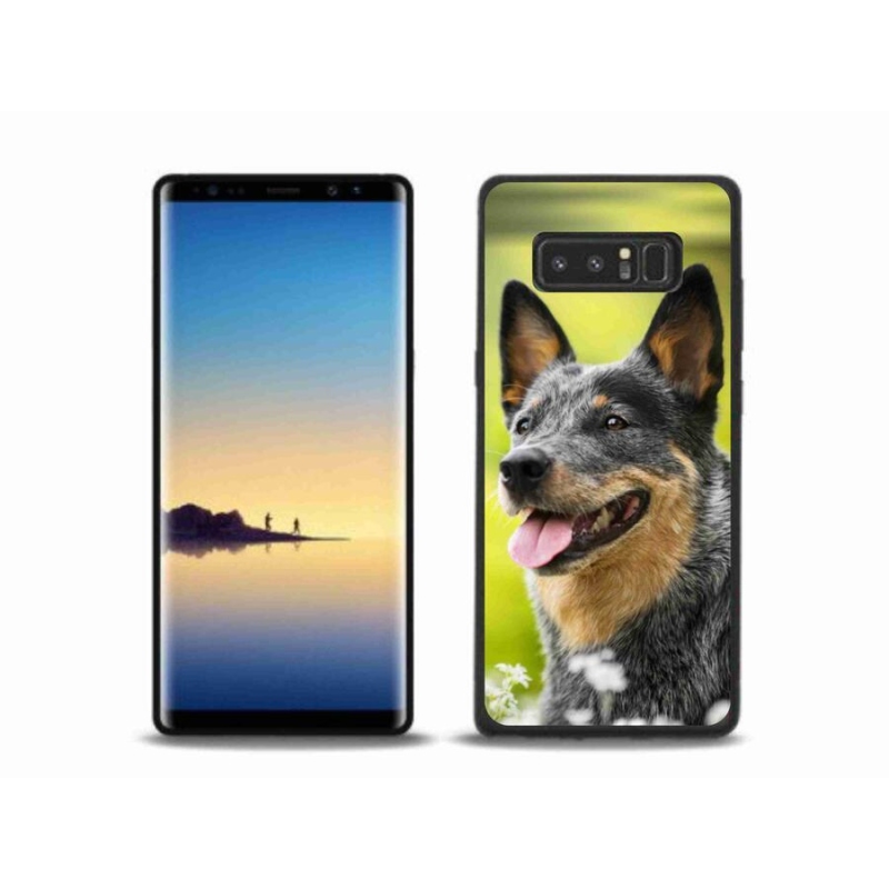 Gélový kryt mmCase na mobil Samsung Galaxy Note 8 - austrálsky dobytkársky pes