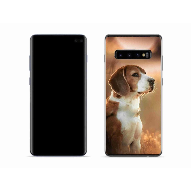 Gélový kryt mmCase na mobil Samsung Galaxy S10 - bígl