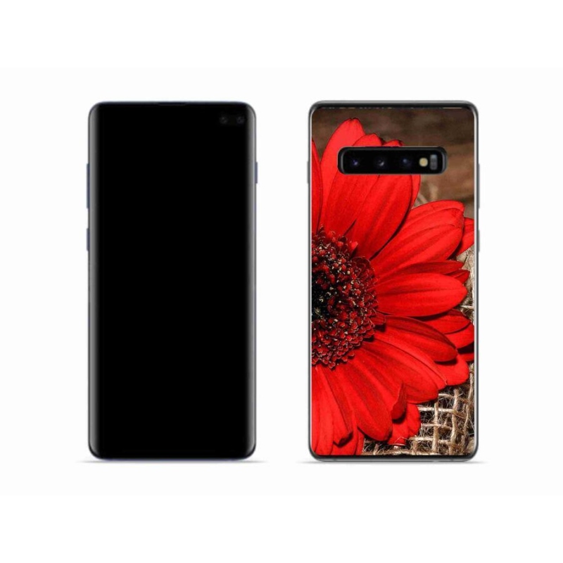 Gélový kryt mmCase na mobil Samsung Galaxy S10 - gerbera