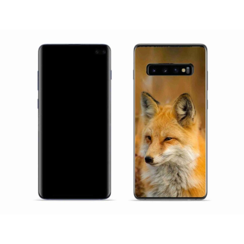 Gélový kryt mmCase na mobil Samsung Galaxy S10 - líška