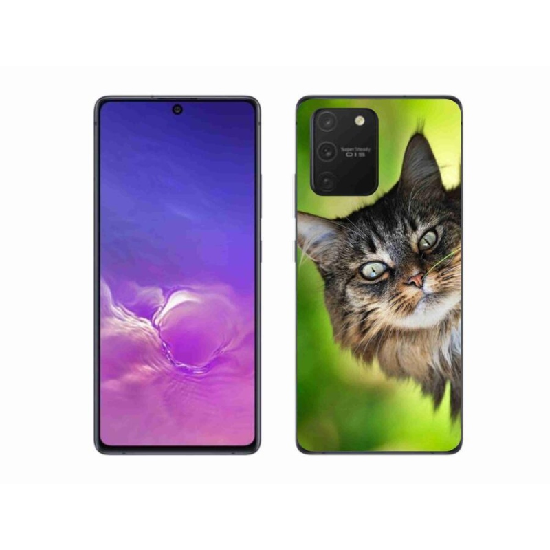 Gélový kryt mmCase na mobil Samsung Galaxy S10 Lite - mačka 3