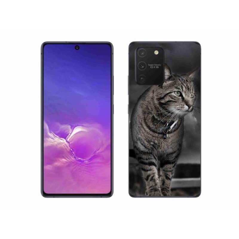 Gélový kryt mmCase na mobil Samsung Galaxy S10 Lite - mačka