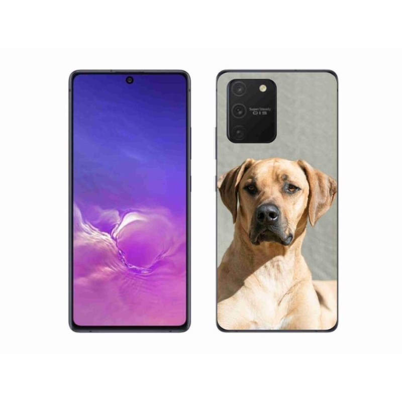 Gélový kryt mmCase na mobil Samsung Galaxy S10 Lite - ridgeback