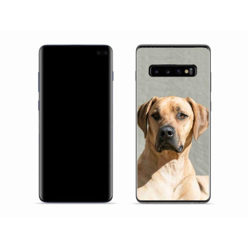 Gélový kryt mmCase na mobil Samsung Galaxy S10 - ridgeback