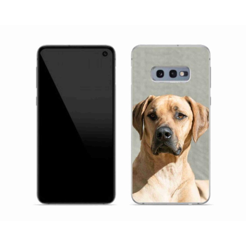 Gélový kryt mmCase na mobil Samsung Galaxy S10e - ridgeback