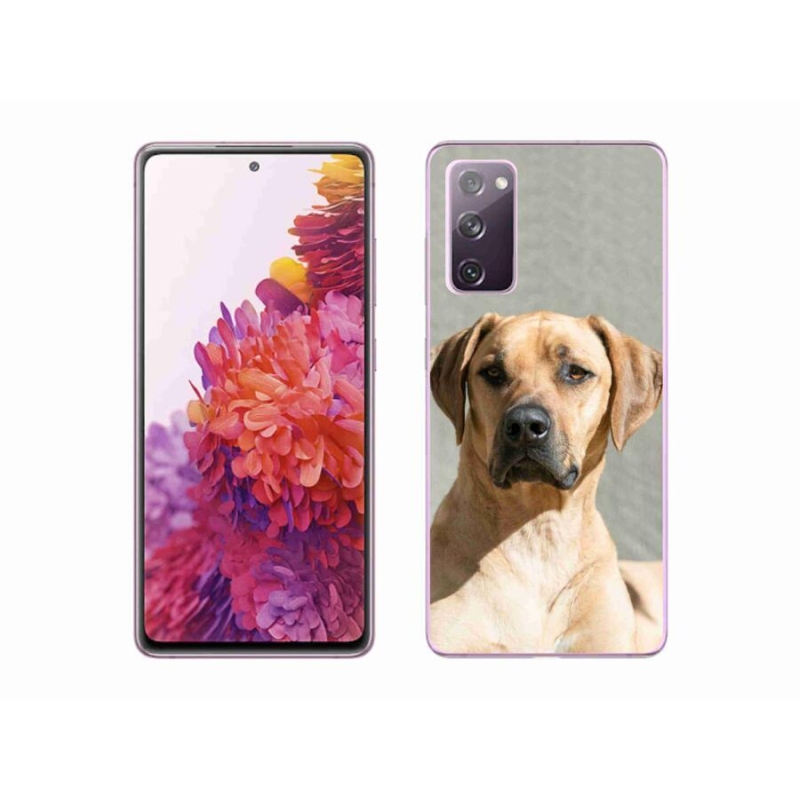 Gélový kryt mmCase na mobil Samsung Galaxy S20 FE - ridgeback