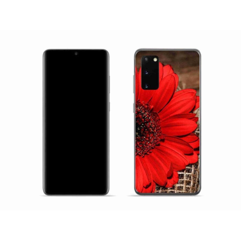 Gélový kryt mmCase na mobil Samsung Galaxy S20 - gerbera